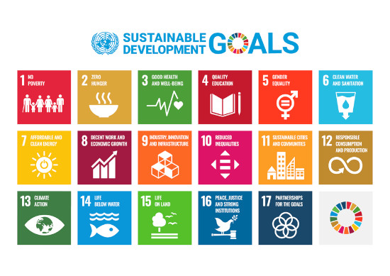 Grafische Darstellung der Sustainable Development Goals der UN