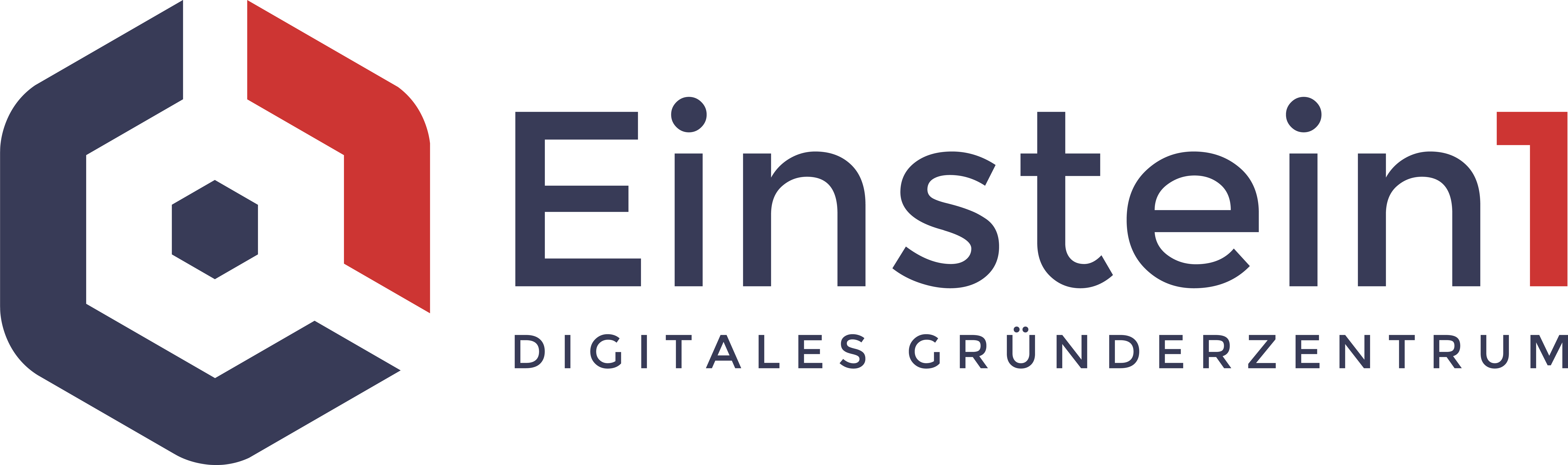 Logo NETZWERK Digitales Gründerzentrum GmbH
